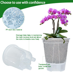 Cdd's Path transparent planter with removable water reservoir for precise watering