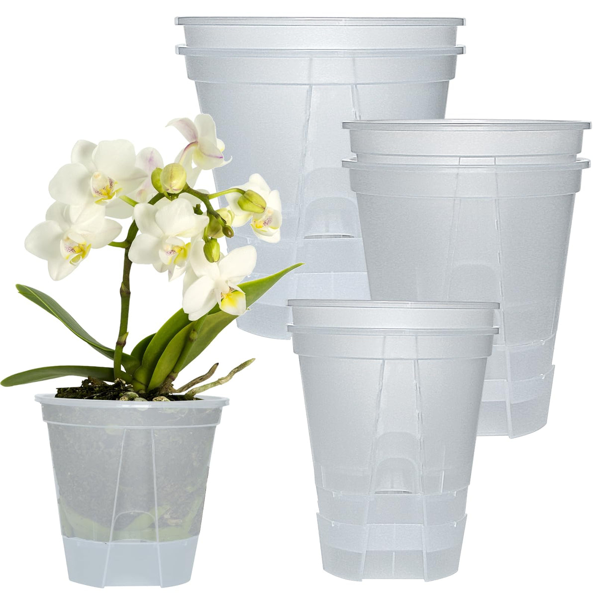 Cdd's Path bare root planter with water reservoir for easy, long-lasting hydration