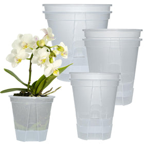 Cdd's Path bare root planter with water reservoir for easy, long-lasting hydration