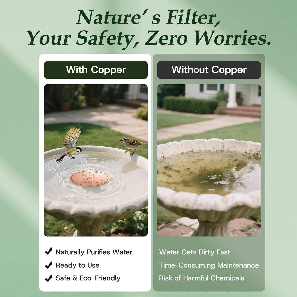 CDHSBJH Bird Bath Copper Disk in-use in a sunny setup