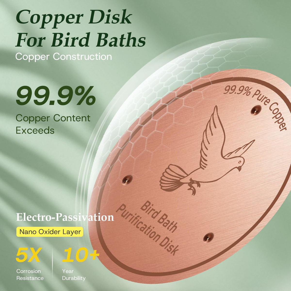 CDHSBJH Bird Bath Copper Disk triple-point support shows stable placement