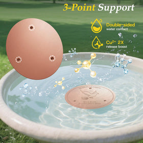 CDHSBJH Bird Bath Copper Disk supports natural water purification benefits