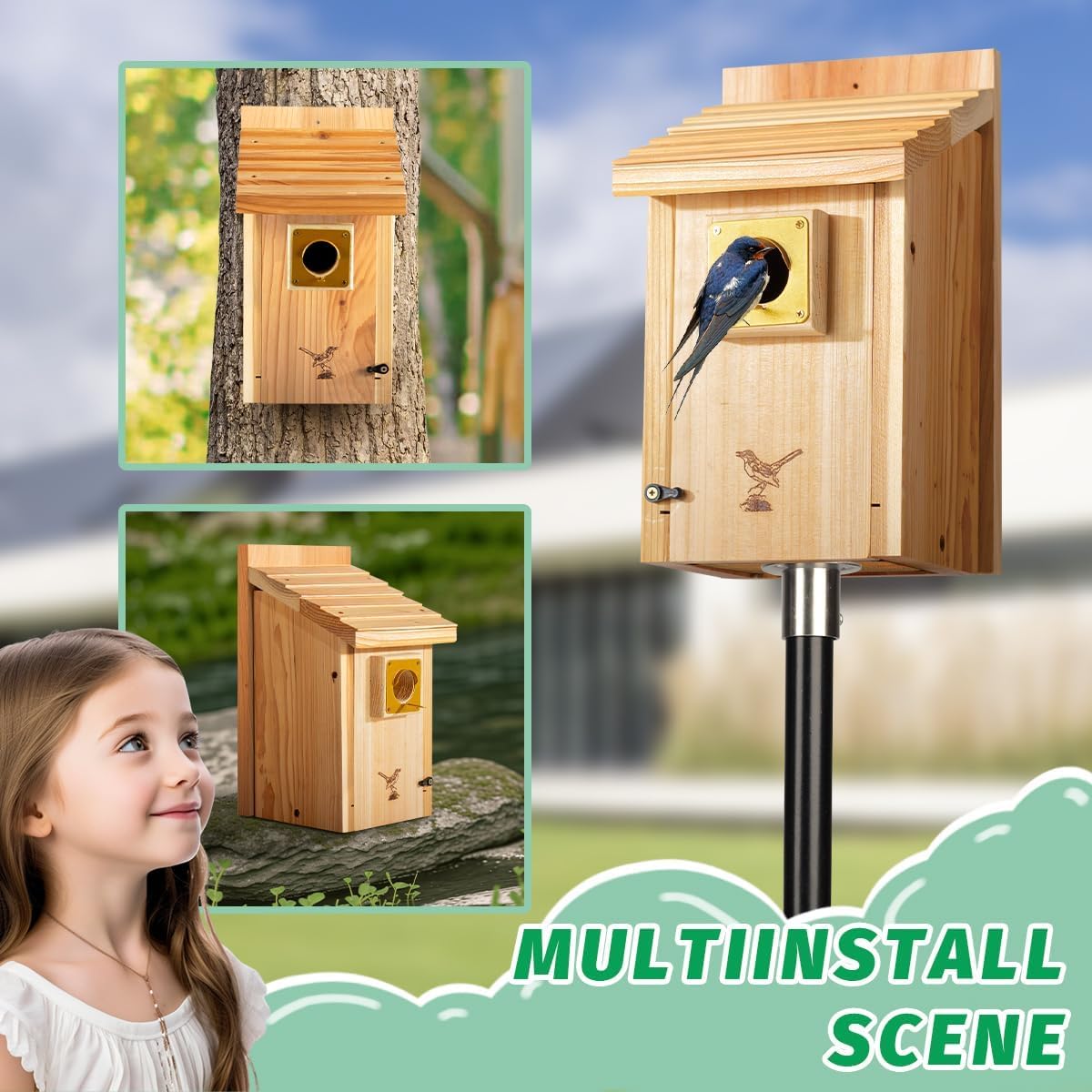 CEDAR ALPHA Bluebird House green color variation complements yard aesthetics
