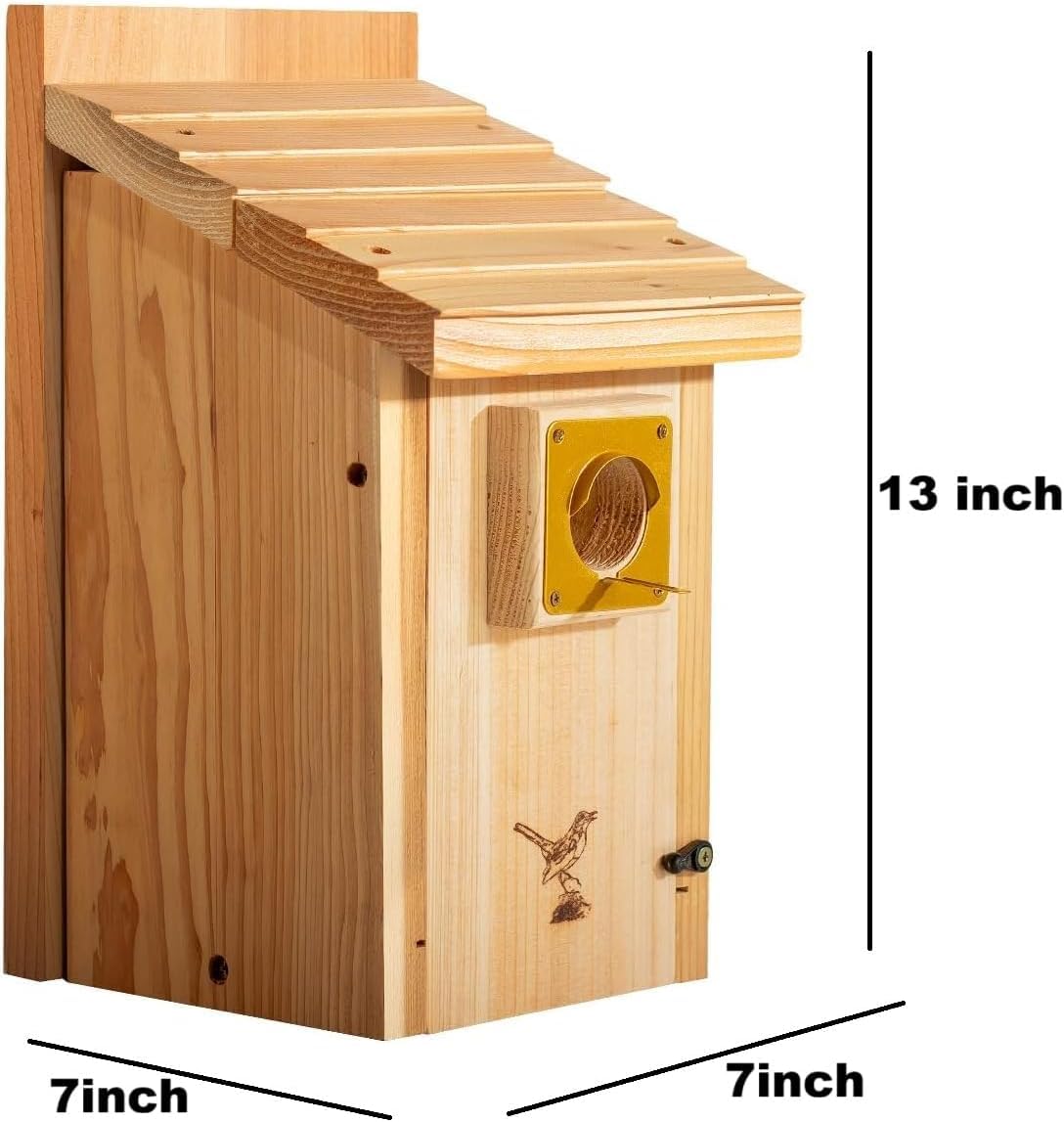 CEDAR ALPHA Bluebird House entrance hole 1.5-inch opening suitable for bluebirds
