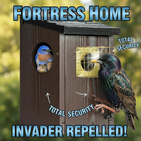 CEDAR ALPHA metal base with brass guard adds stability and protection