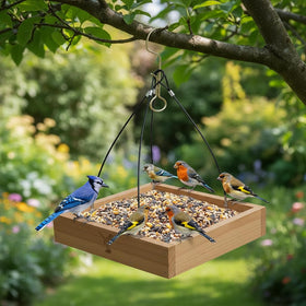 CEDAR ALPHA easy setup and quick cleaning for busy gardeners.