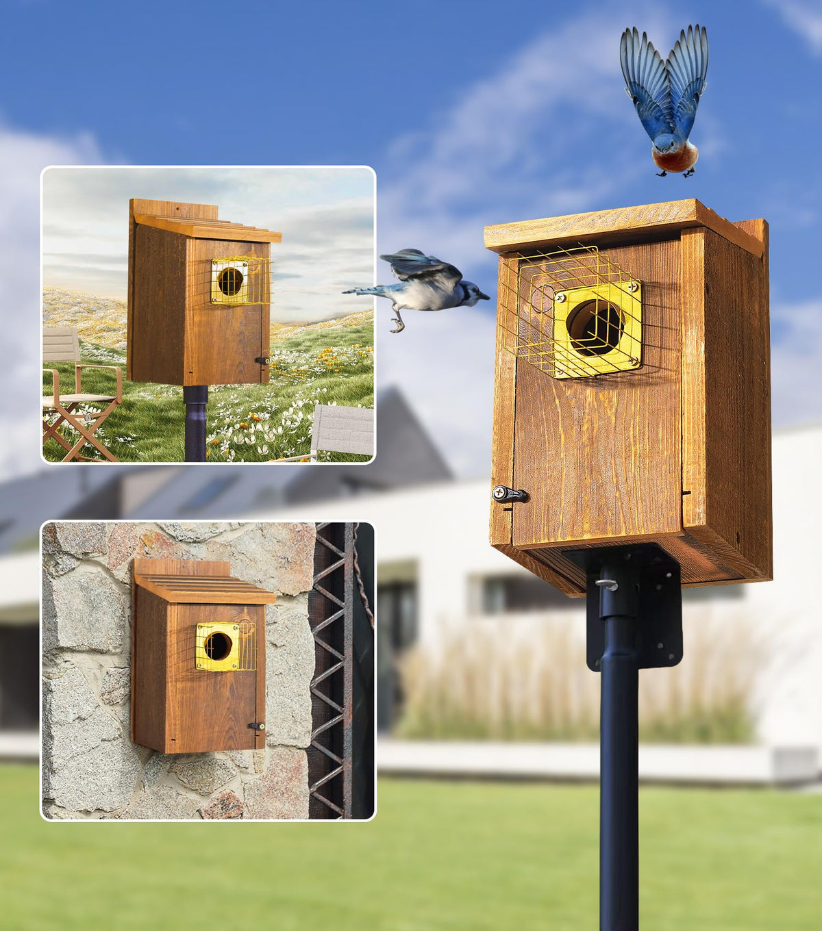 Entrance hole size 1-1/2 inches attracts bluebirds and small birds.