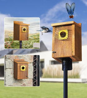 Entrance hole size 1-1/2 inches attracts bluebirds and small birds.