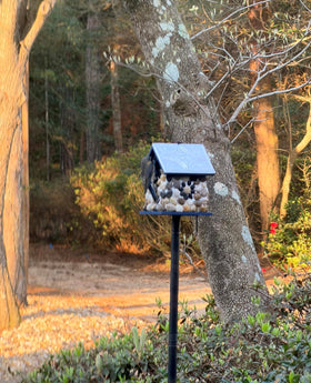 CEDAR ALPHA Masterpiece Bluebird House exterior with pebble stones for durability