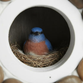 CEDAR ALPHA Garden friendly birdhouse supports nesting in your yard