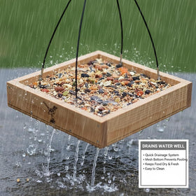 CEDAR ALPHA mesh bottom keeps seeds dry and fresh for birds.