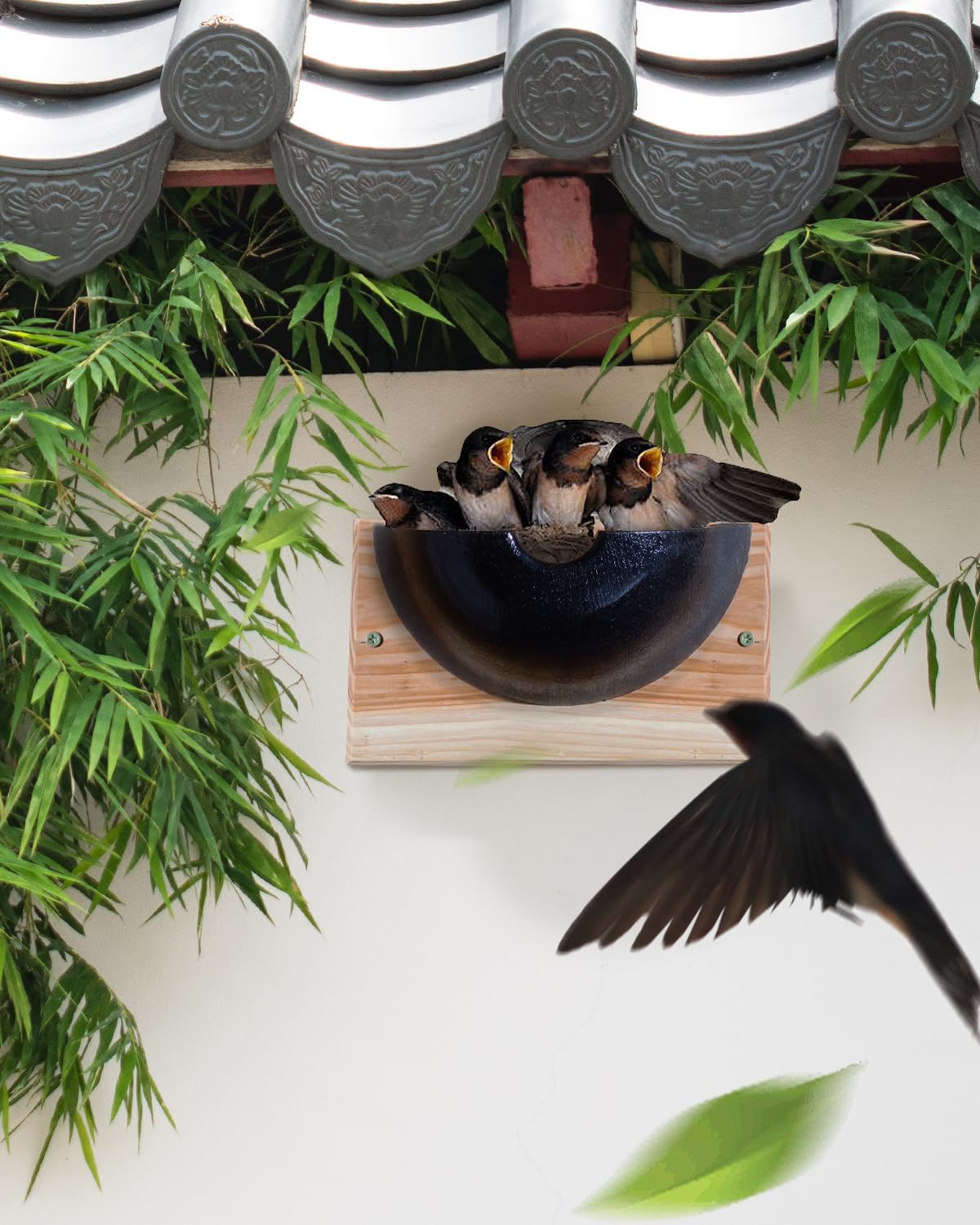 CEDAR ALPHA Swallow Nest Box garden setup ideal for yard birds.