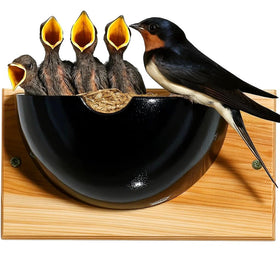 CEDAR ALPHA Swallow Nest Box outdoor HDPE withstands weather for long-lasting use.