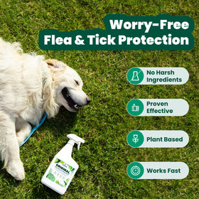 Pet bedding application demonstrating safe treatment for homes with pets.