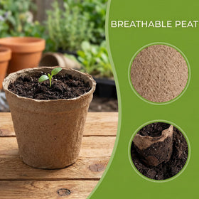 Cedilis disposable seedling pots simplify potting and roots care