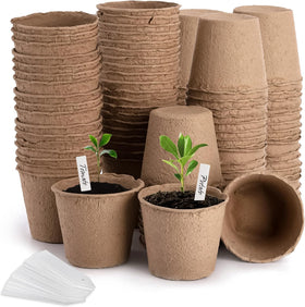 Cedilis peat pot 4-inch starter for seedlings ready for transplant