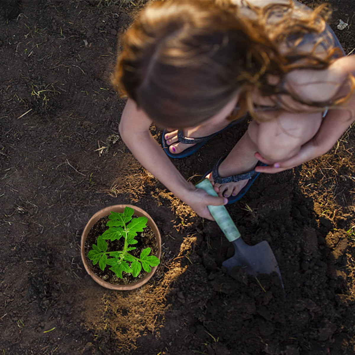 Cedilis peat pot with moisture retention supports healthy seedlings