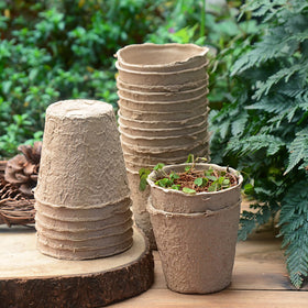 Cedilis vegetable seedling pot designed for easy growing and care