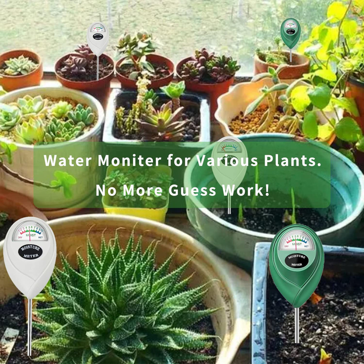 Censinda garden and hanging baskets moisture guide for care