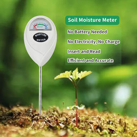 Censinda plant moisture sensors come in a pack for multiple containers.