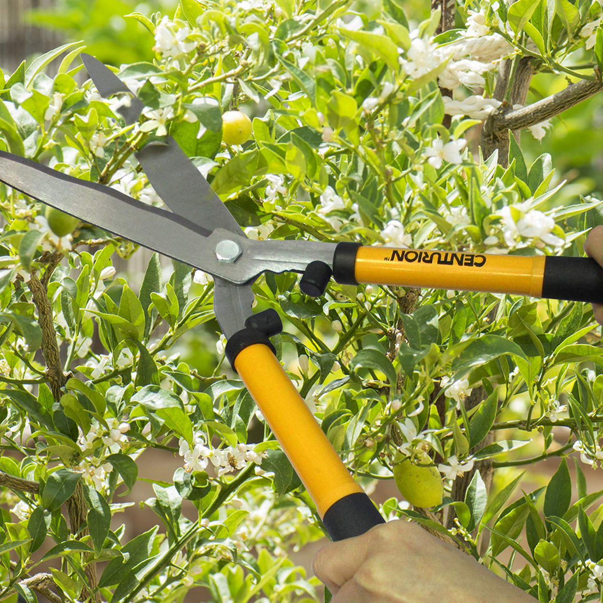 Centurion 1222 bypass lopper in action for clean branch trimming