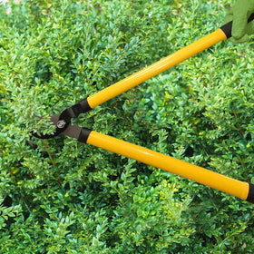 Centurion 1222 cutting action loppers provide smooth, efficient cuts