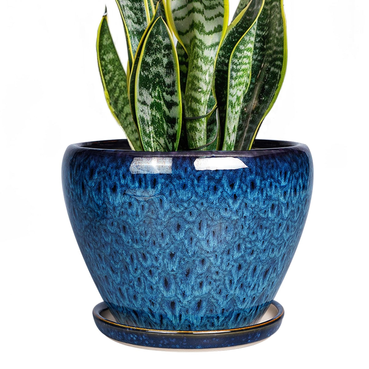 Ceramicfor 8inch pot with drainage hole supports healthy watering and tidy spaces