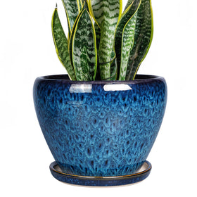 Ceramicfor 8inch pot with drainage hole supports healthy watering and tidy spaces