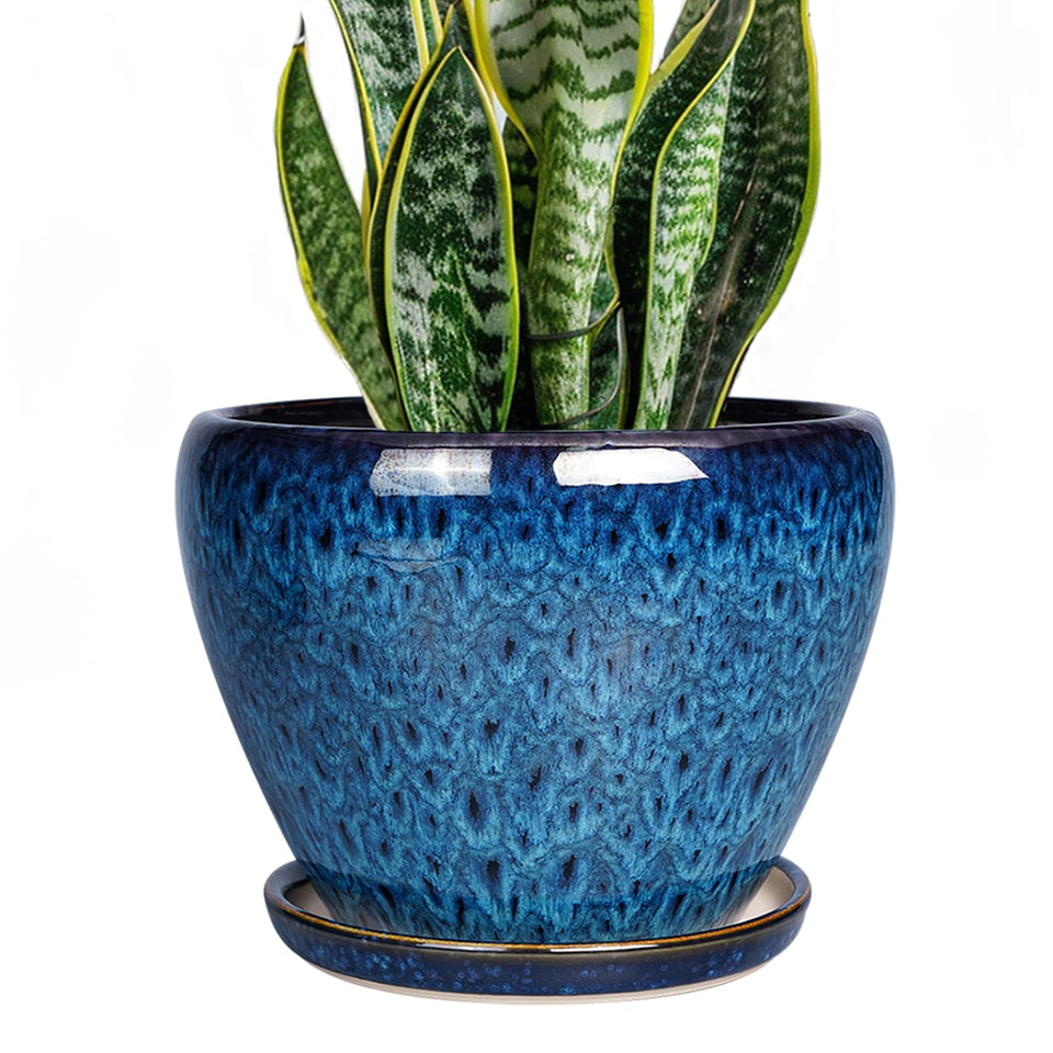 Ceramicfor 8inch pot with drainage hole supports healthy watering and tidy spaces