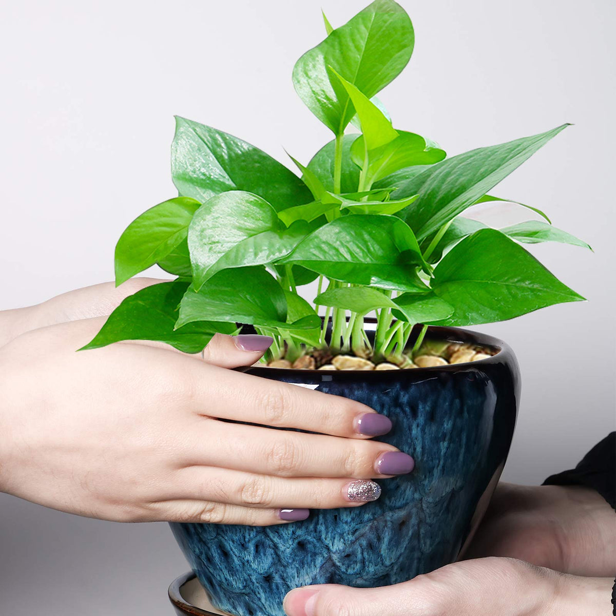 Ceramicfor indoor-outdoor plant container suitable for herbs, succulents, and small plants