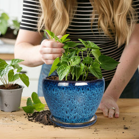 Ceramicfor indoor outdoor-use pot suitable for a variety of plants and settings