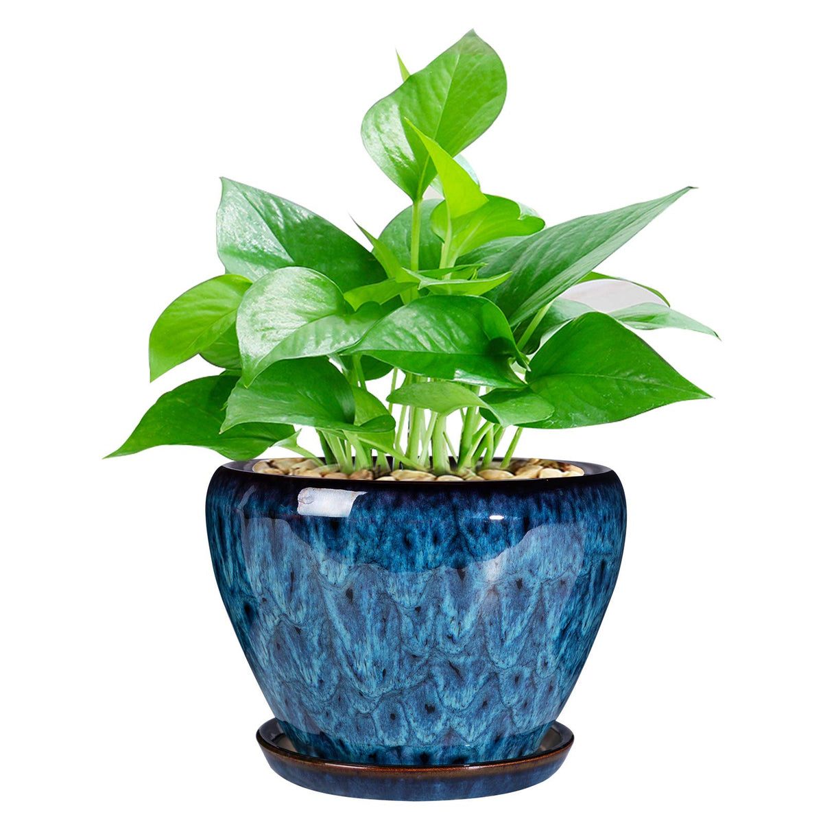 Ceramicfor modern glaze succulent planter 6 inch on a windowsill for stylish indoor gardening