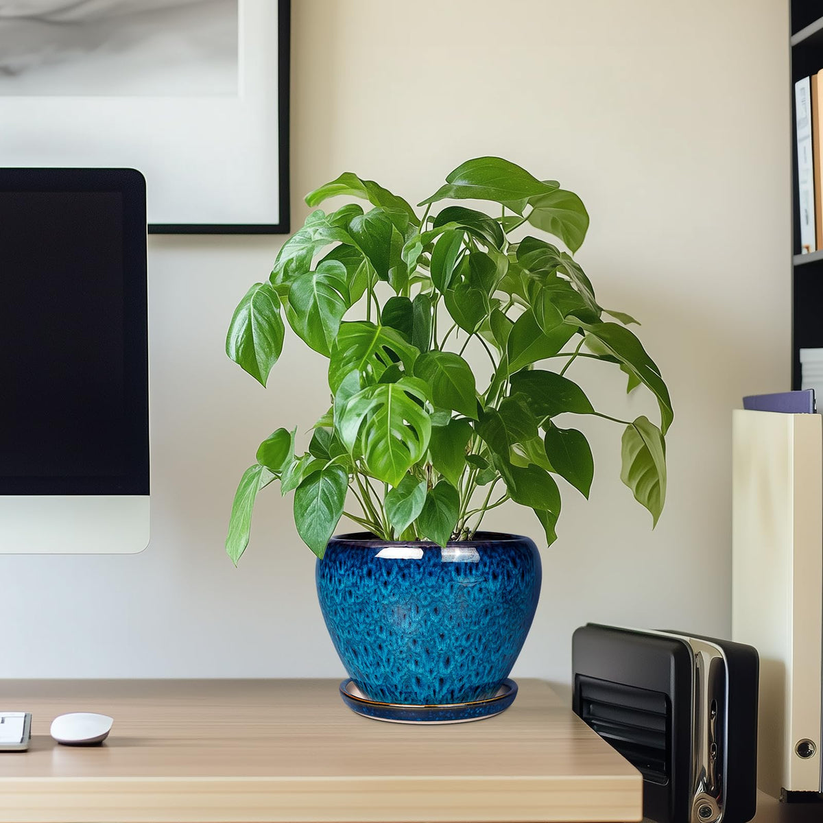 Ceramicfor multi-use planter ideal for orchid, snake plant, and herbs