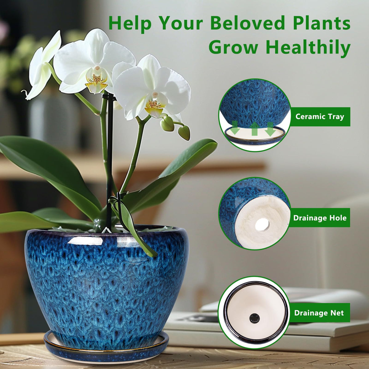 Ceramicfor orchid in pot showing elegant glaze and reliable drainage