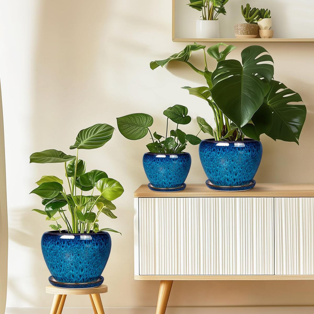Ceramicfor tabletop garden display adds a minimal, elegant touch to spaces