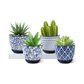 Cerkik ceramic succulent planters set of four for compact indoor display.