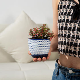 Cerkik ceramic pots displayed on tabletop for easy styling.