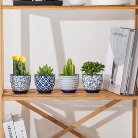 Cerkik succulent pots make thoughtful gift for plant lovers.