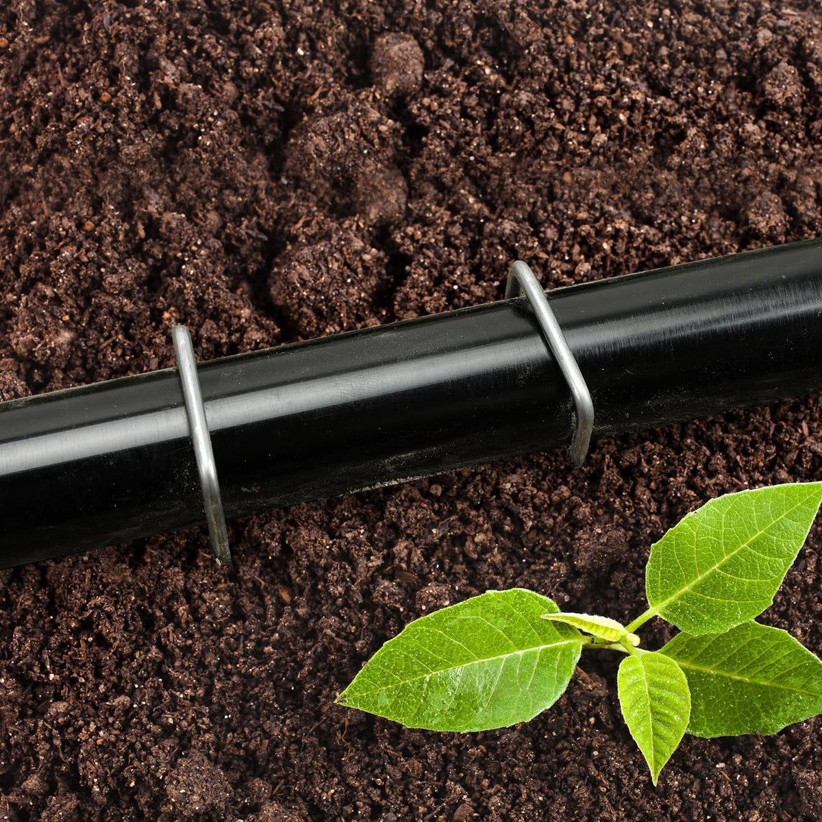 CEWOR landscape staples for barrier fabric, fencing, lawn, and turf projects.