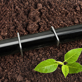 CEWOR landscape staples for barrier fabric, fencing, lawn, and turf projects.