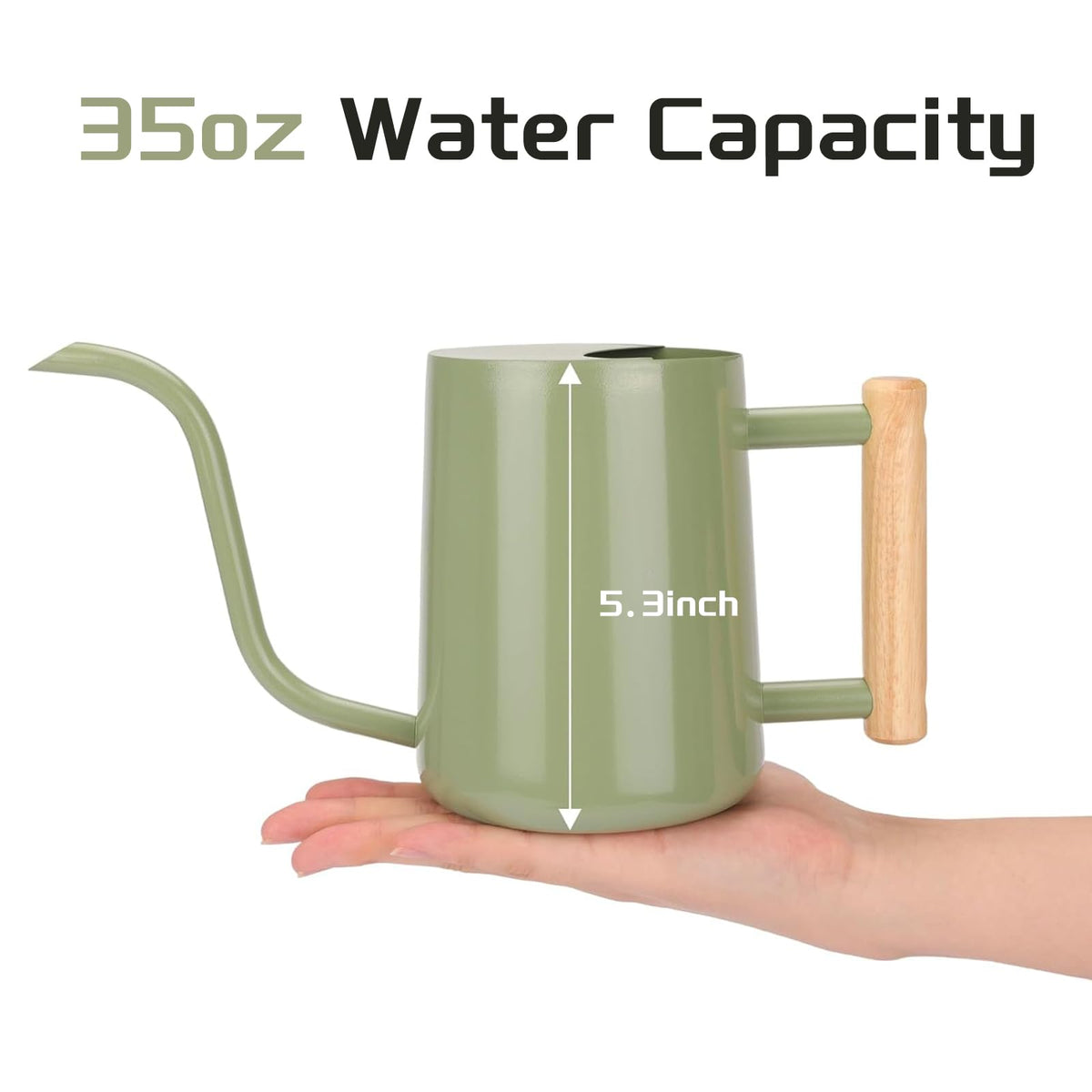 CEWOR long spout for precise indoor plant watering and hanging planters.