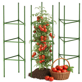 CEWOR tomato cage 3-pack demonstrating sturdy support for thriving tomato and cucumber plants.