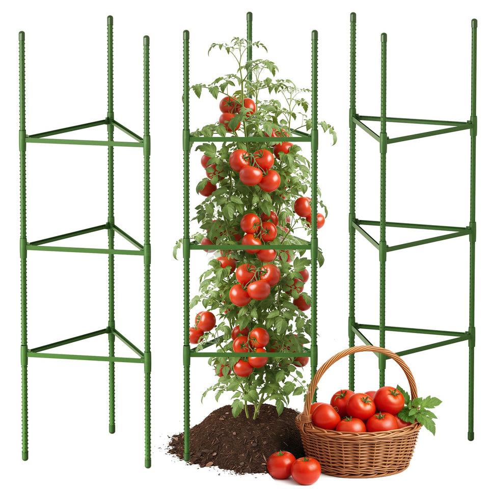 CEWOR tomato cage 3-pack demonstrating sturdy support for thriving tomato and cucumber plants.