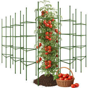 CEWOR tomato cage six-pack with 63-inch height for tall, stable support