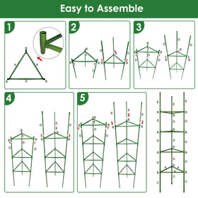 CEWOR adjustable-height cages offering versatile plant support