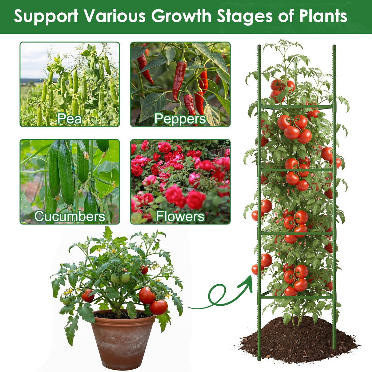 CEWOR cages in garden bed and container setups for vertical growth