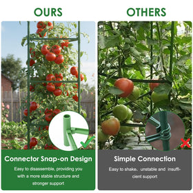 CEWOR cages suitable for beans, tomatoes, cucumbers and peppers