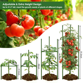 CEWOR sturdy-core tomato cage showing reinforced alloy core for durable garden staking.