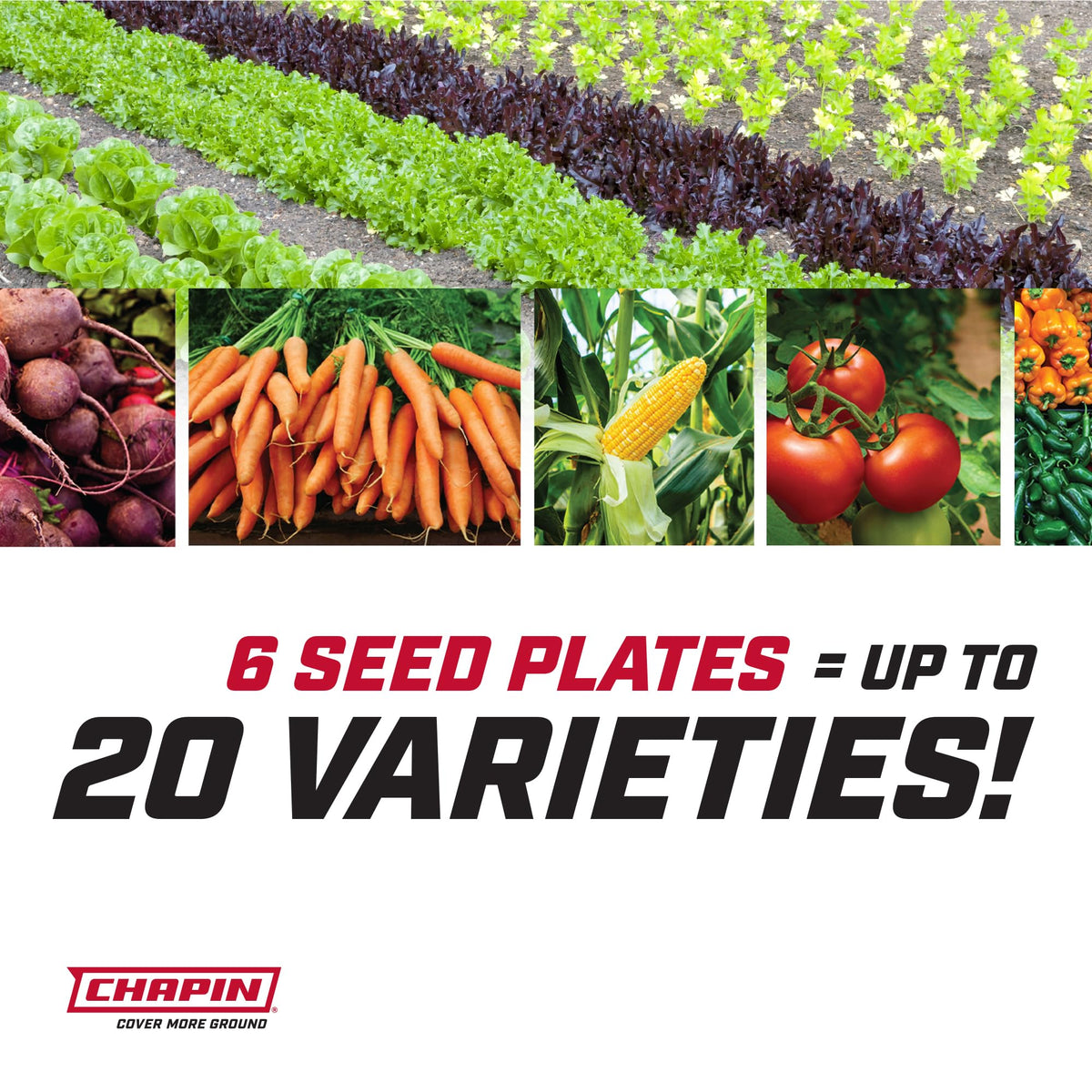 Chapin 8701B seeder in garden shows effortless push operation