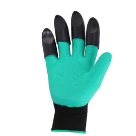 Chargenyang rose pruning with gloves protect hands during thorny stems.